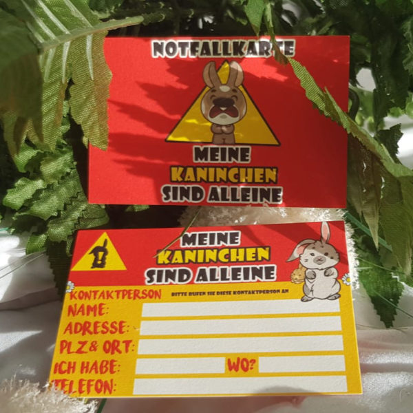 Kaninchen-Notfallkarten