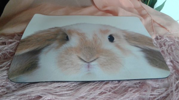 Kaninchen Mousepad Motiv "Widder" schräg