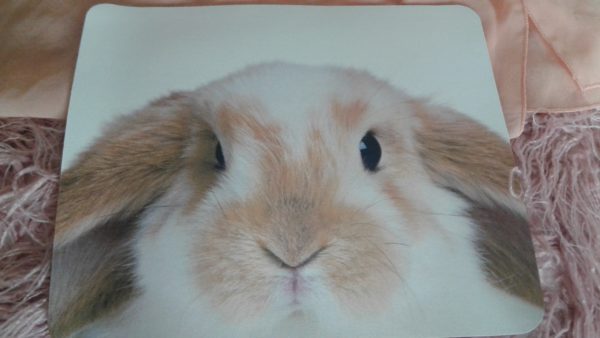 Kaninchen Mousepad Motiv "Widder"